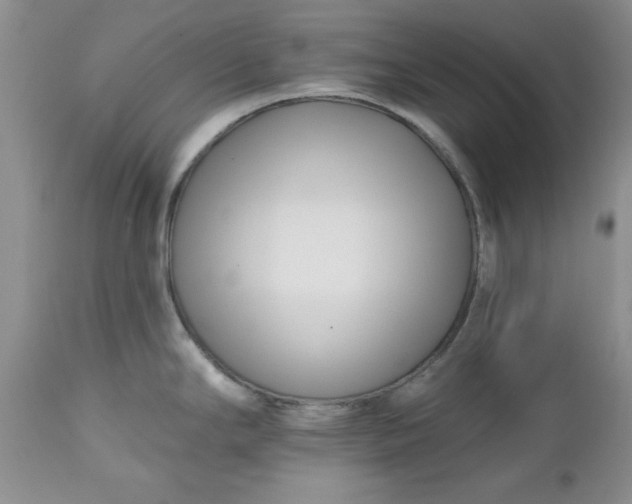 X0000112541294200908311437