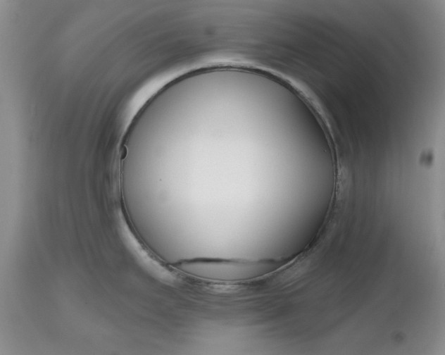 X0000112541295200908311437