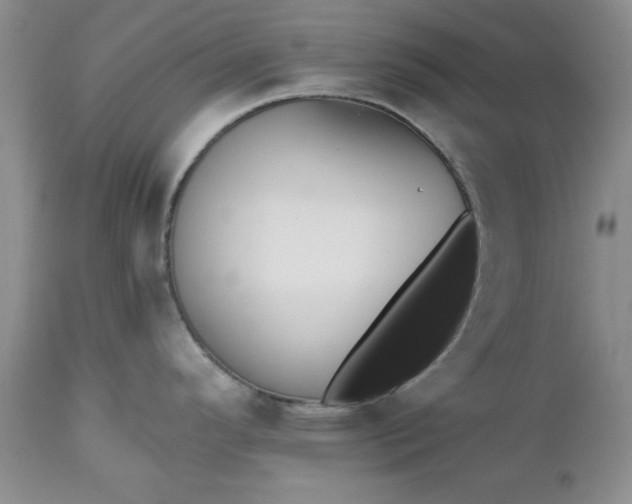 X0000112541296200908311437