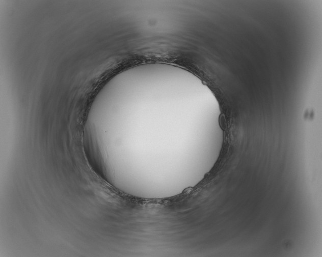 X0000112541297200908311437