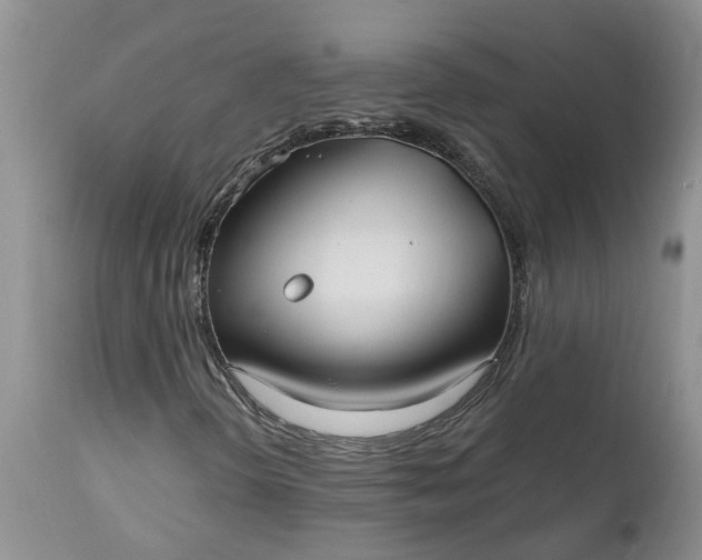 X0000112541298200908311437
