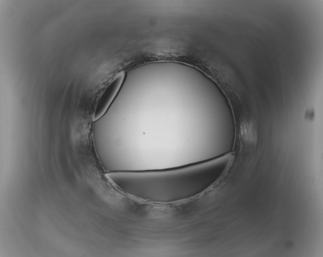 X0000112541300200908311437