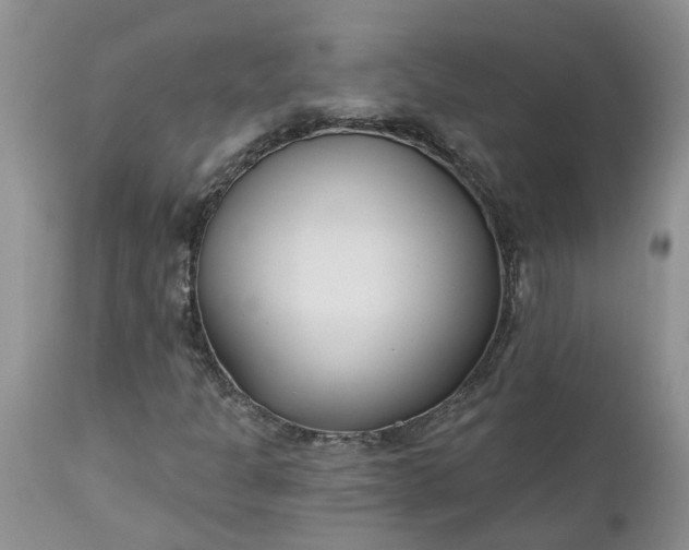 X0000112541301200908311437