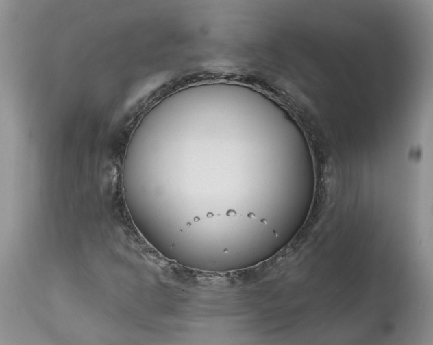 X0000112541302200908311437
