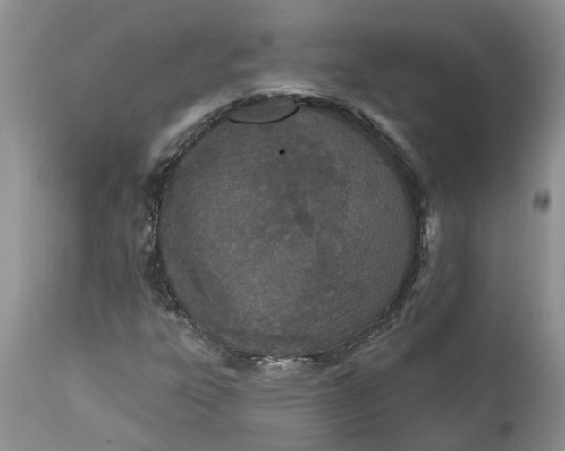 X0000112541303200908311437