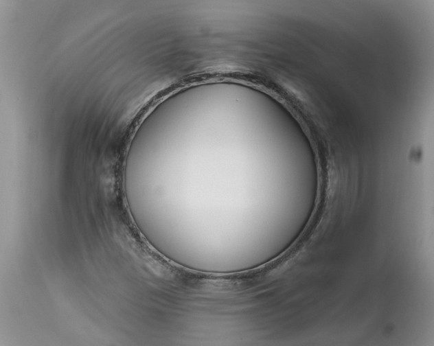 X0000112541305200908311437