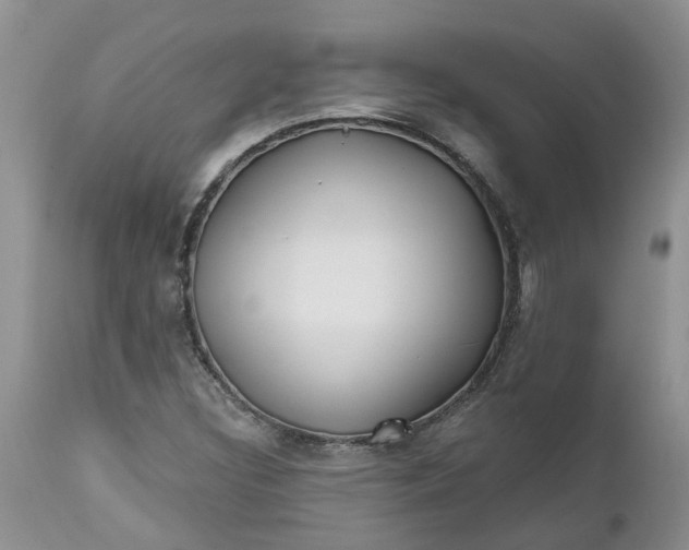 X0000112541308200908311437