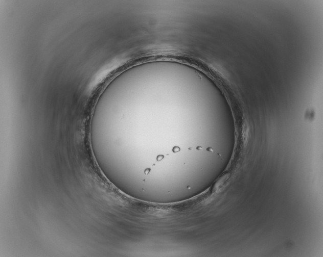 X0000112541309200908311437