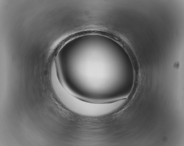 X0000112541310200908311437