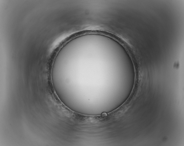 X0000112541311200908311437