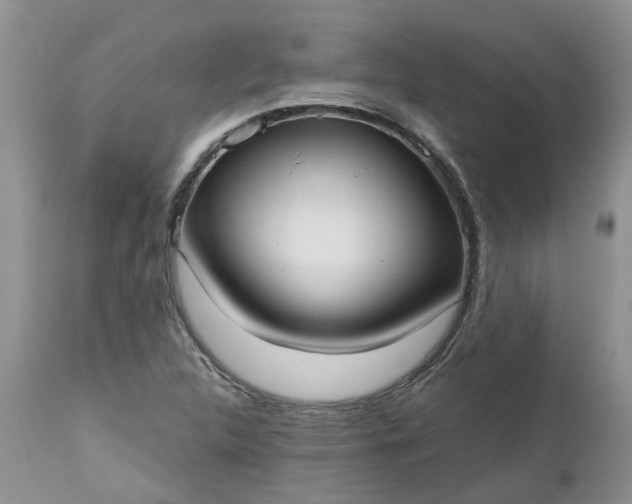 X0000112541312200908311437