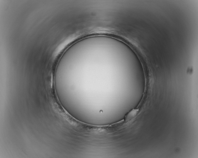 X0000112541317200908311437