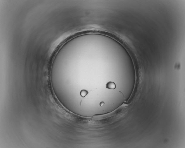 X0000112541318200908311437