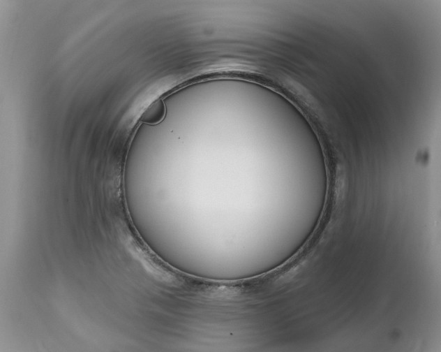 X0000112541321200908311437