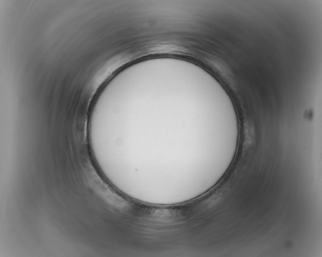 X0000112541322200908311437