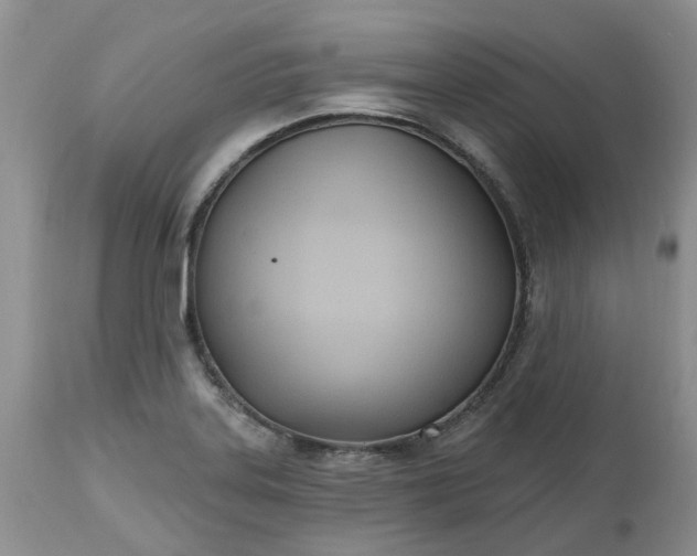 X0000112541323200908311437
