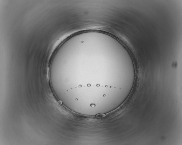 X0000112541324200908311437
