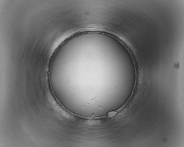 X0000112541325200908311437