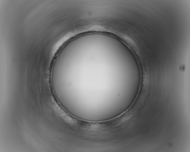 X0000112541326200908311437