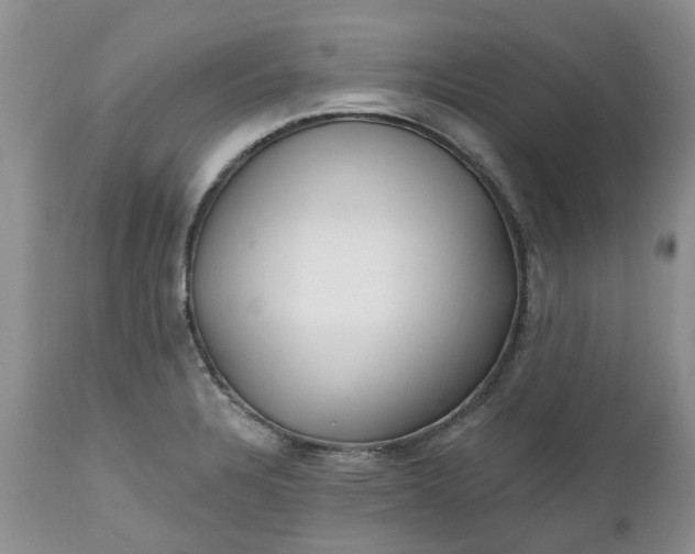 X0000112541328200908311437
