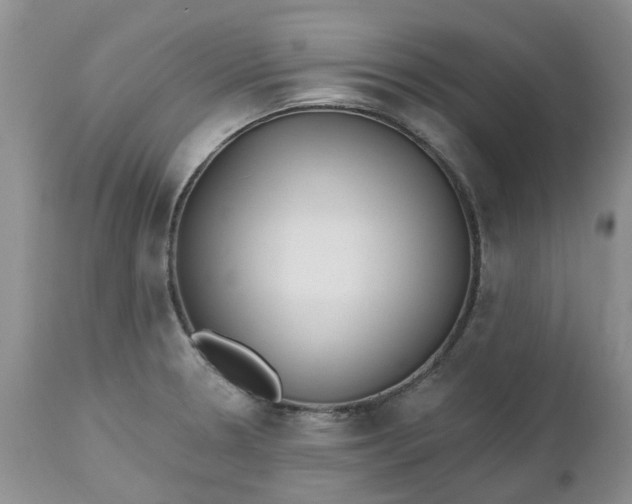 X0000112541330200908311437