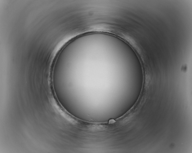 X0000112541331200908311437