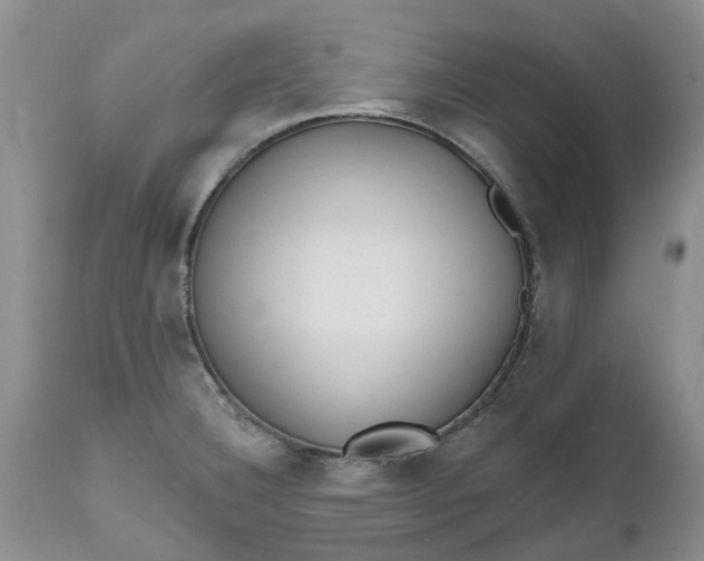X0000112541332200908311437