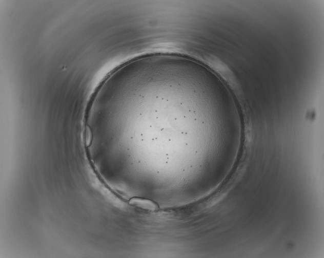 X0000112541334200908311437