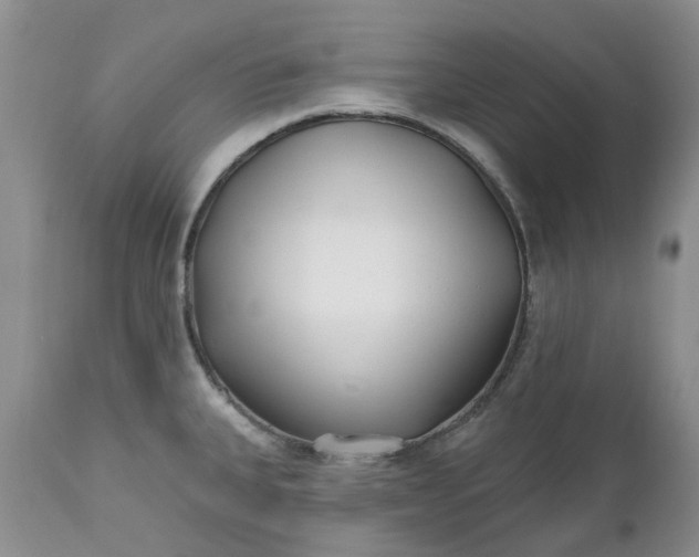 X0000112541335200908311437