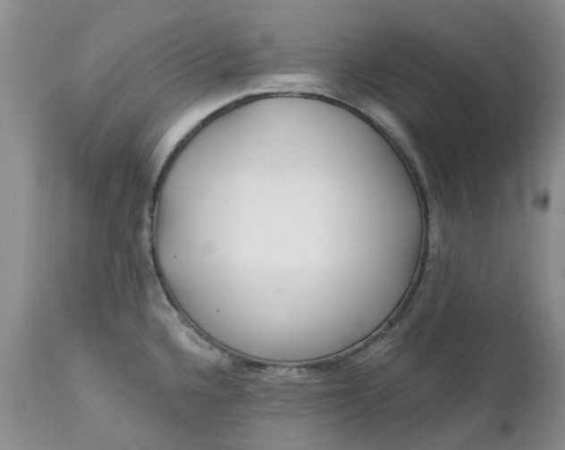 X0000112541336200908311437
