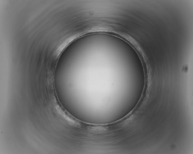 X0000112541337200908311437