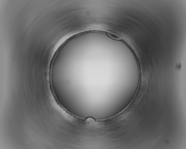 X0000112541339200908311437