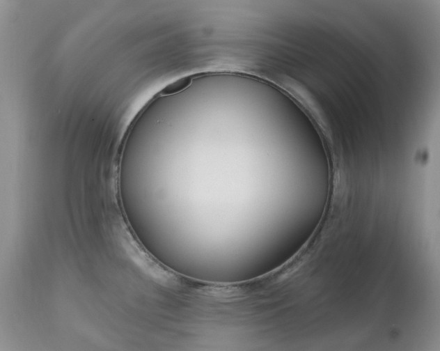 X0000112541340200908311437