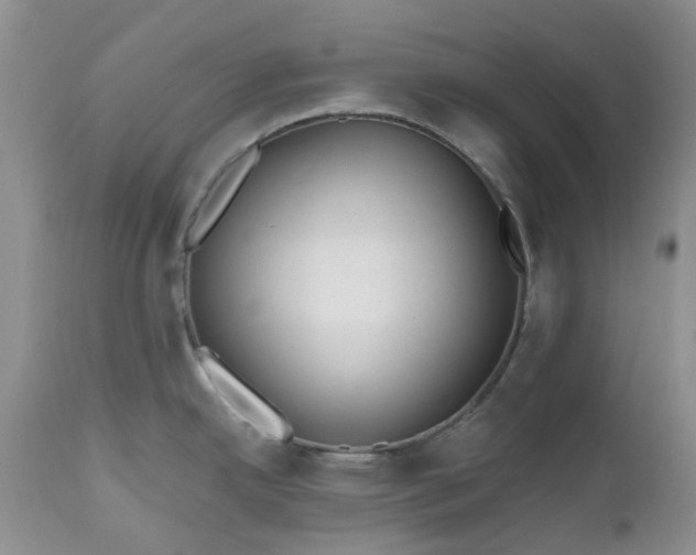 X0000112541342200908311437
