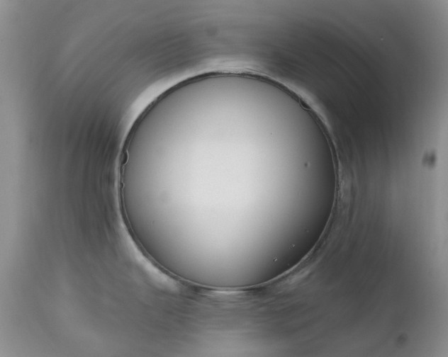 X0000112541343200908311437