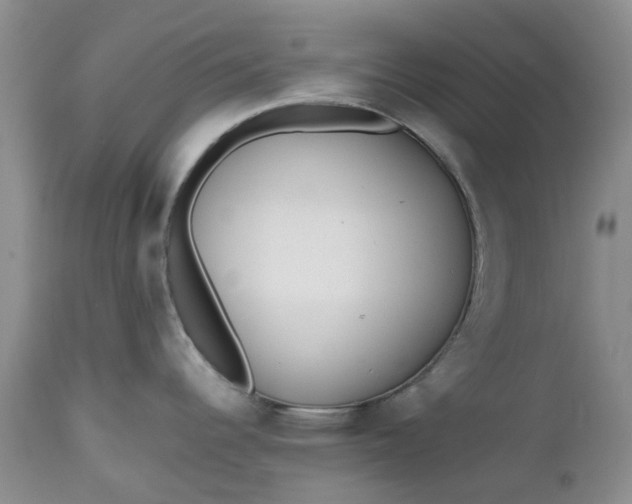 X0000112541344200908311437