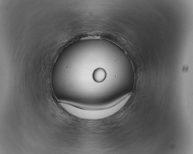 X0000112541345200908311437