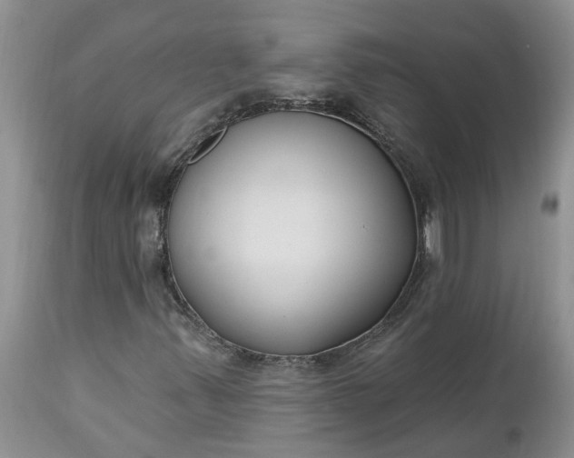 X0000112541347200908311437
