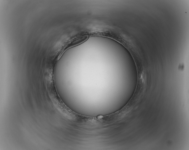X0000112541348200908311437