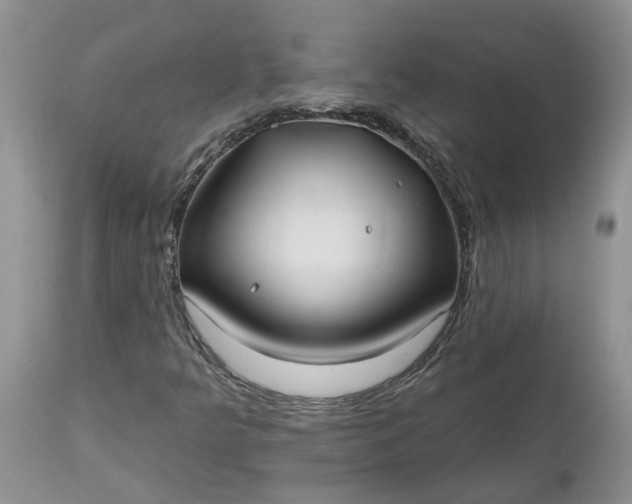 X0000112541349200908311437