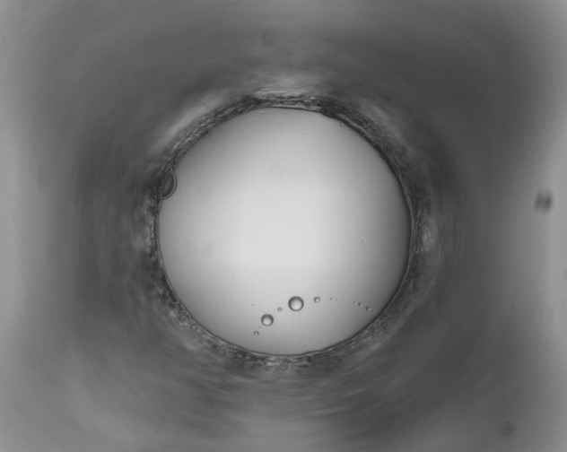 X0000112541350200908311437