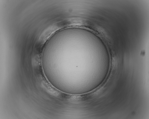 X0000112541353200908311436