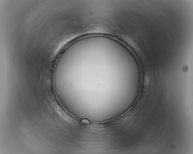 X0000112541356200908311436