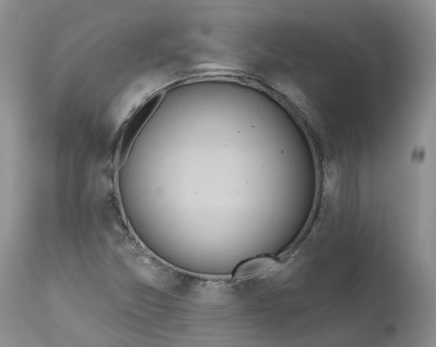 X0000112541357200908311436
