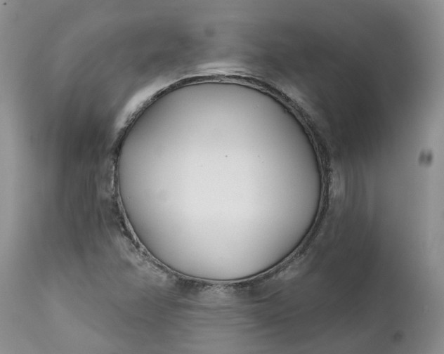 X0000112541358200908311436