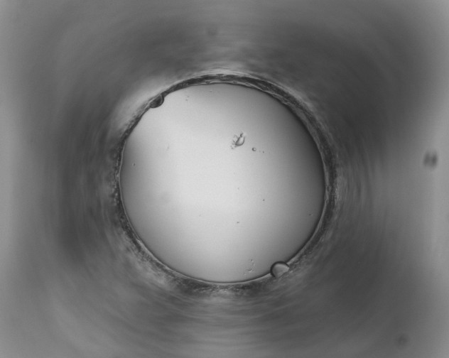 X0000112541359200908311436