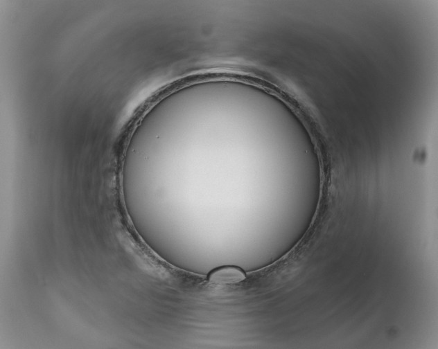 X0000112541360200908311436