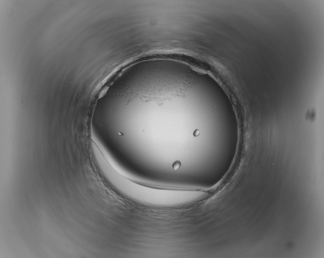 X0000112541361200908311436