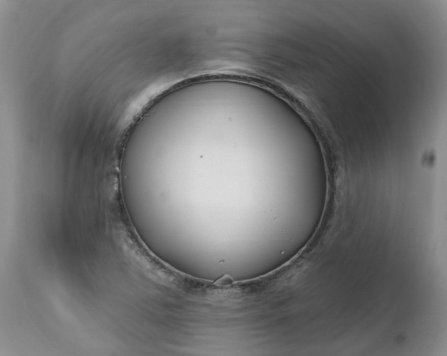 X0000112541363200908311436