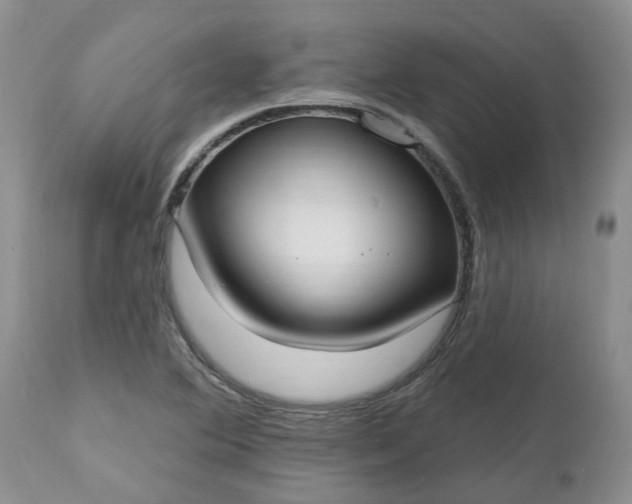 X0000112541364200908311436
